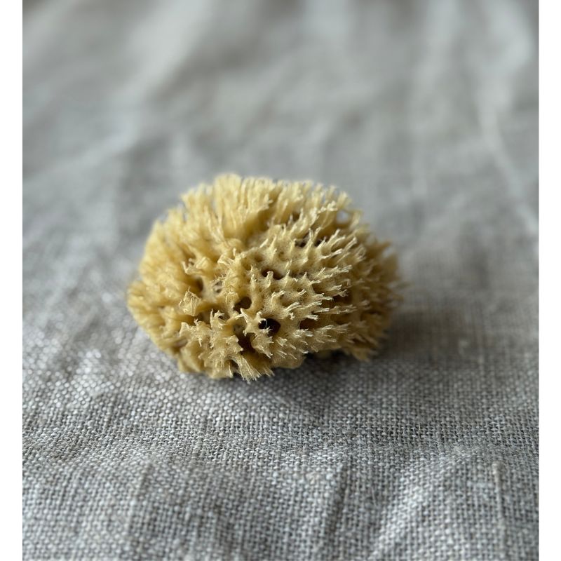 Aito Pesusieni kasvoille - Honeycomb, pieni Pesusienet Croll & Denecke 