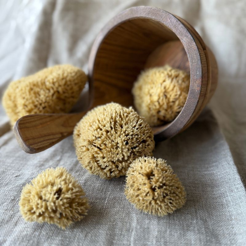 Aito Pesusieni vartalolle - Honeycomb, iso Pesusienet Croll & Denecke 