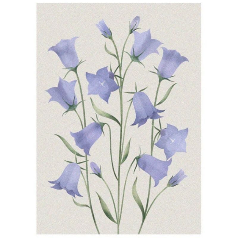 Annariikka Qvistin Kissankellot-postikorttia kaunistavat hennon siniset kissankellot vaaleanharmaalla taustalla.