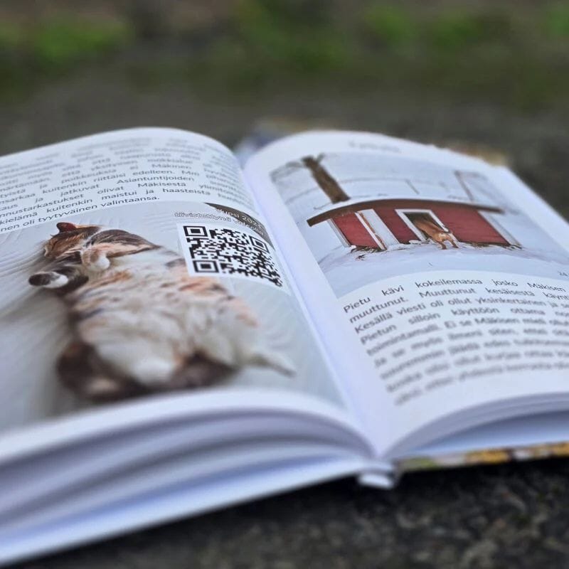 Mäkinen Mökkikissan Kokoinen Tarina Kirjat Tiluksilla 