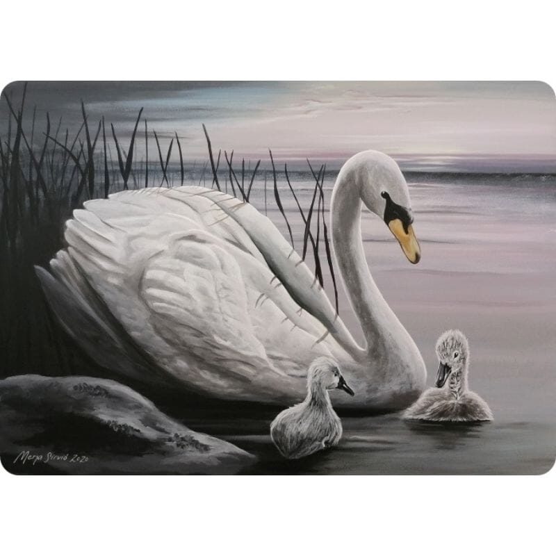 Merja Sirviö Artin Suojassa-kortti, jossa joutsenemo ja kaksi poikasta ovat rantakaislikon suojissa. Taustalla hennon pastellinen ulappa.