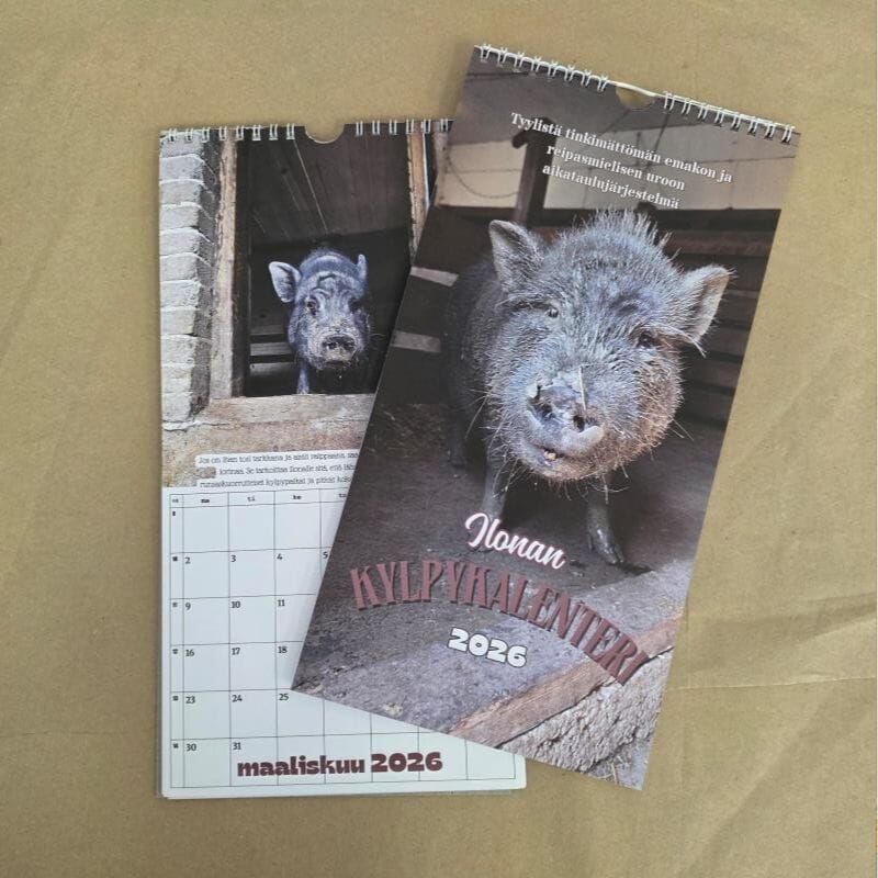 Tiluksilla Anteron ja Ilonan kaksipuolinen seinäkalenteri 2026 Kalenterit Tiluksilla 