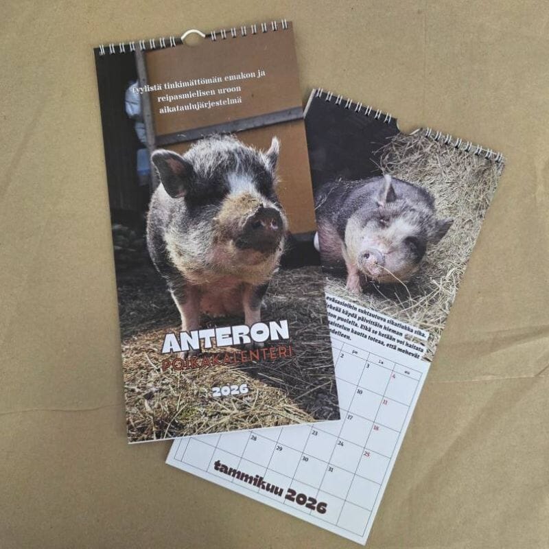 Tiluksilla Anteron ja Ilonan kaksipuolinen seinäkalenteri 2026 Kalenterit Tiluksilla 
