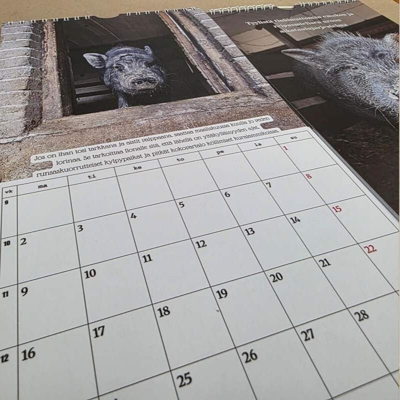 Tiluksilla Anteron ja Ilonan kaksipuolinen seinäkalenteri 2026 Kalenterit Tiluksilla 