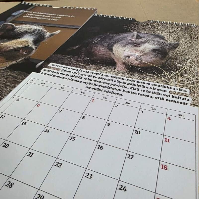 Tiluksilla Anteron ja Ilonan kaksipuolinen seinäkalenteri 2026 Kalenterit Tiluksilla 