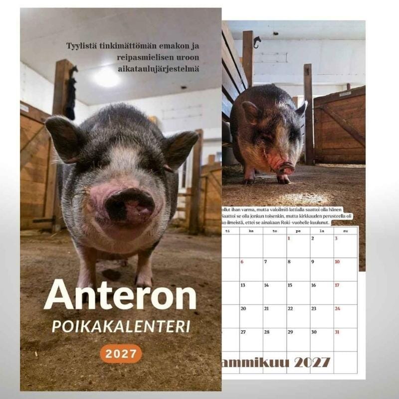 Tiluksilla Anteron Poikakalenteri 2027 Kalenterit Tiluksilla 