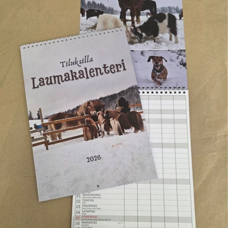 Tiluksilla Laumakalenteri 2026 Kalenterit Tiluksilla 