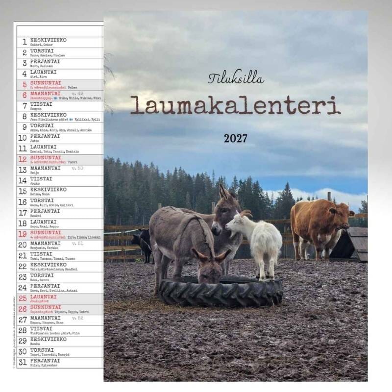 Tiluksilla Laumakalenteri 2027 Kalenterit Tiluksilla 