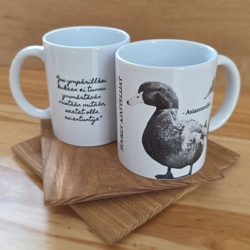 Tiluksilla Suuret ajattelijat Asiantuntijat-muki, jossa toisella puolella kuva asiantuntija-ankoista, ja toisella teksti " Jos ympärilläsi kukaan ei tunnu ymmärtävän mistään mitään, saatat olla asiantuntija". 