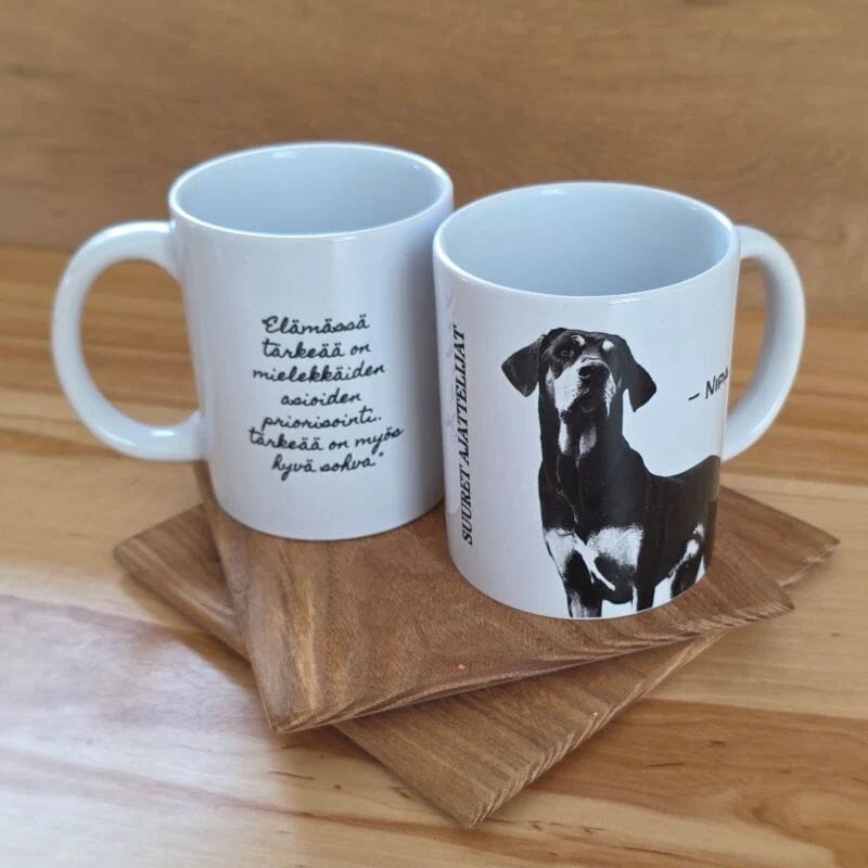 Tiluksilla Suuret ajattelijat Nipa-muki, jossa  toisella puolella kuva Nipa-koirasta ja toisella teksti "Elämässä tärkeää on mielekkäiden asioiden priorisointi. Tärkeää on myös hyvä sohva".