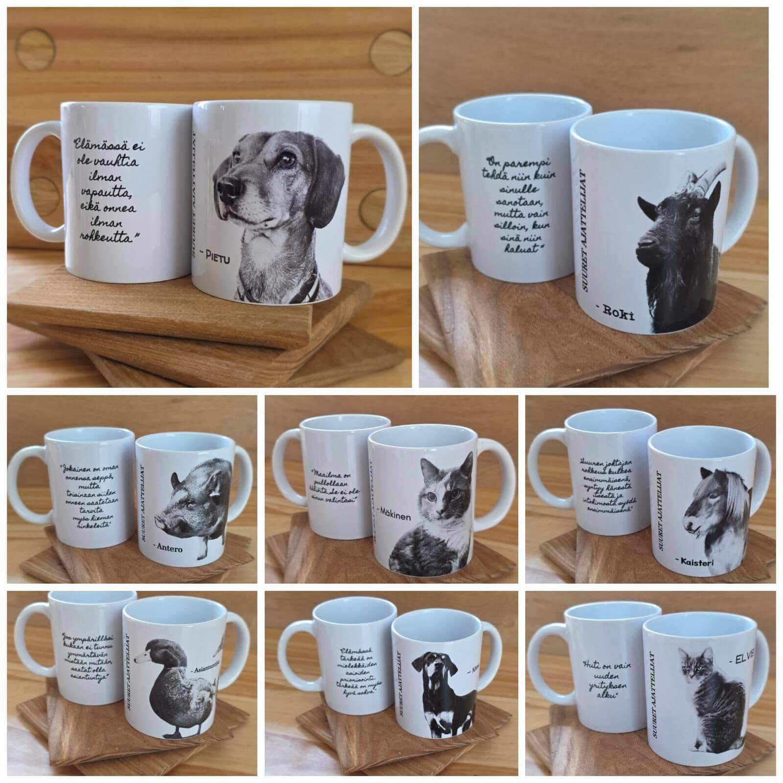 Tiluksilla Suuret Ajattelijat -mukisarja, johon kuuluu Pietu, Roki, Antero, Mäkinen, Kaisteri, Asiantuntijat, Nipa ja Elvis viisauksineen.