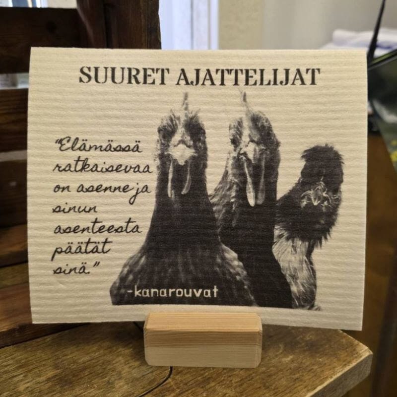 Tiluksilla Tiskirätti Siivoustuotteet Tiluksilla Kanarouvat 