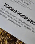Joulukalenteri Kalenterit Tiluksilla 